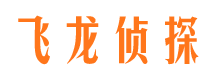 岢岚市调查公司